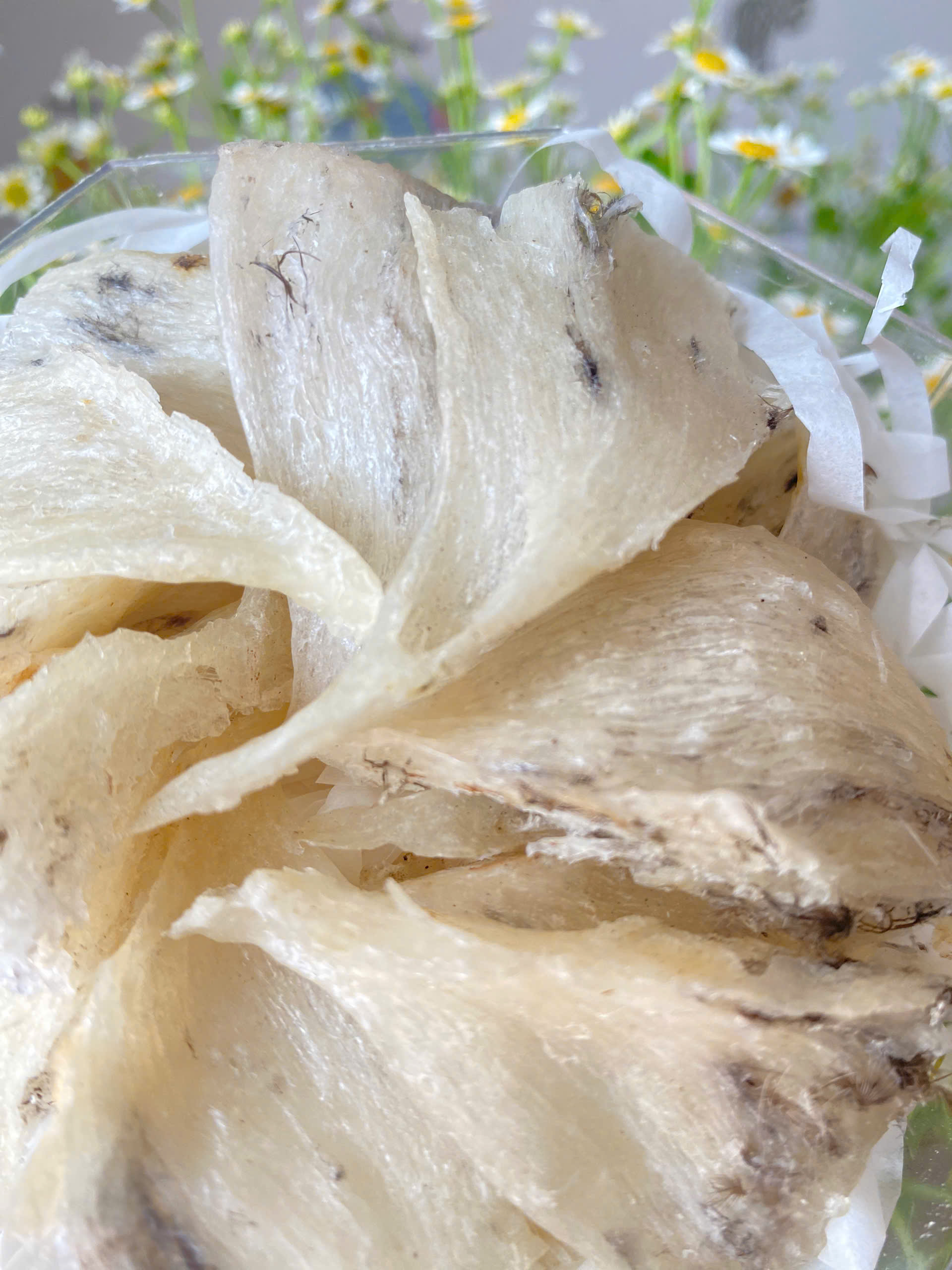 Chân yến thô Vip 100g 5