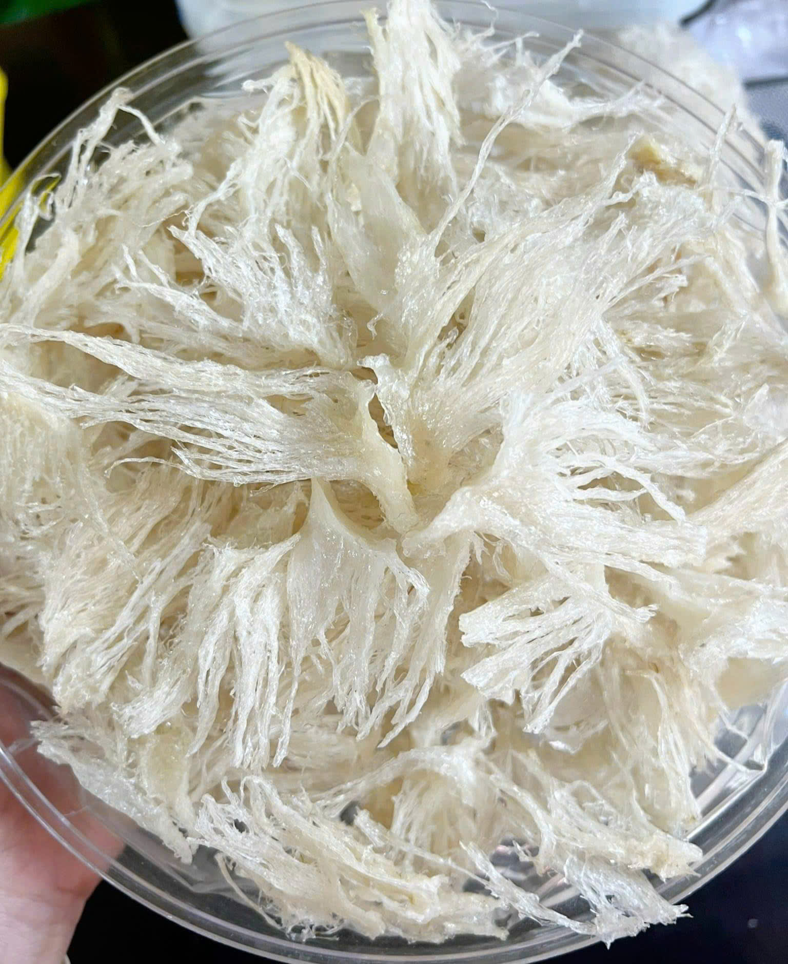 Chân yến tinh chế 100g 2