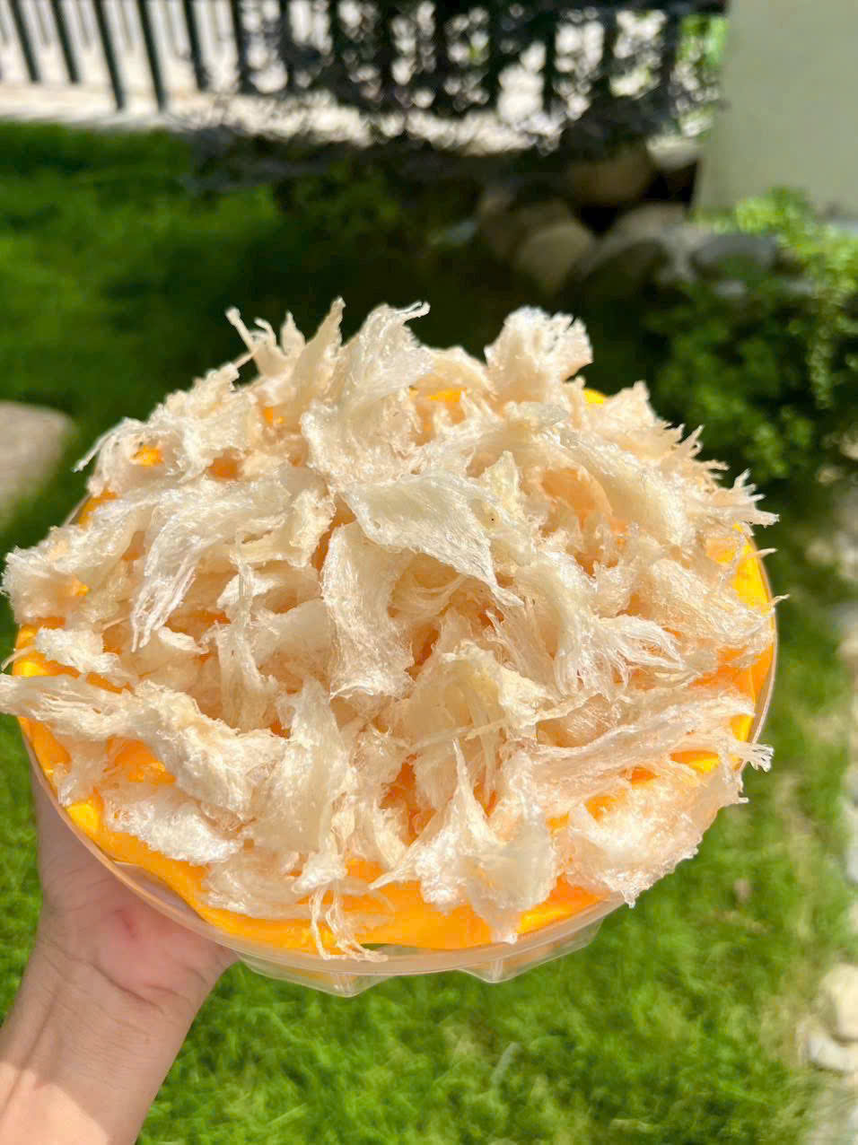 Chân yến tinh chế 100g 3