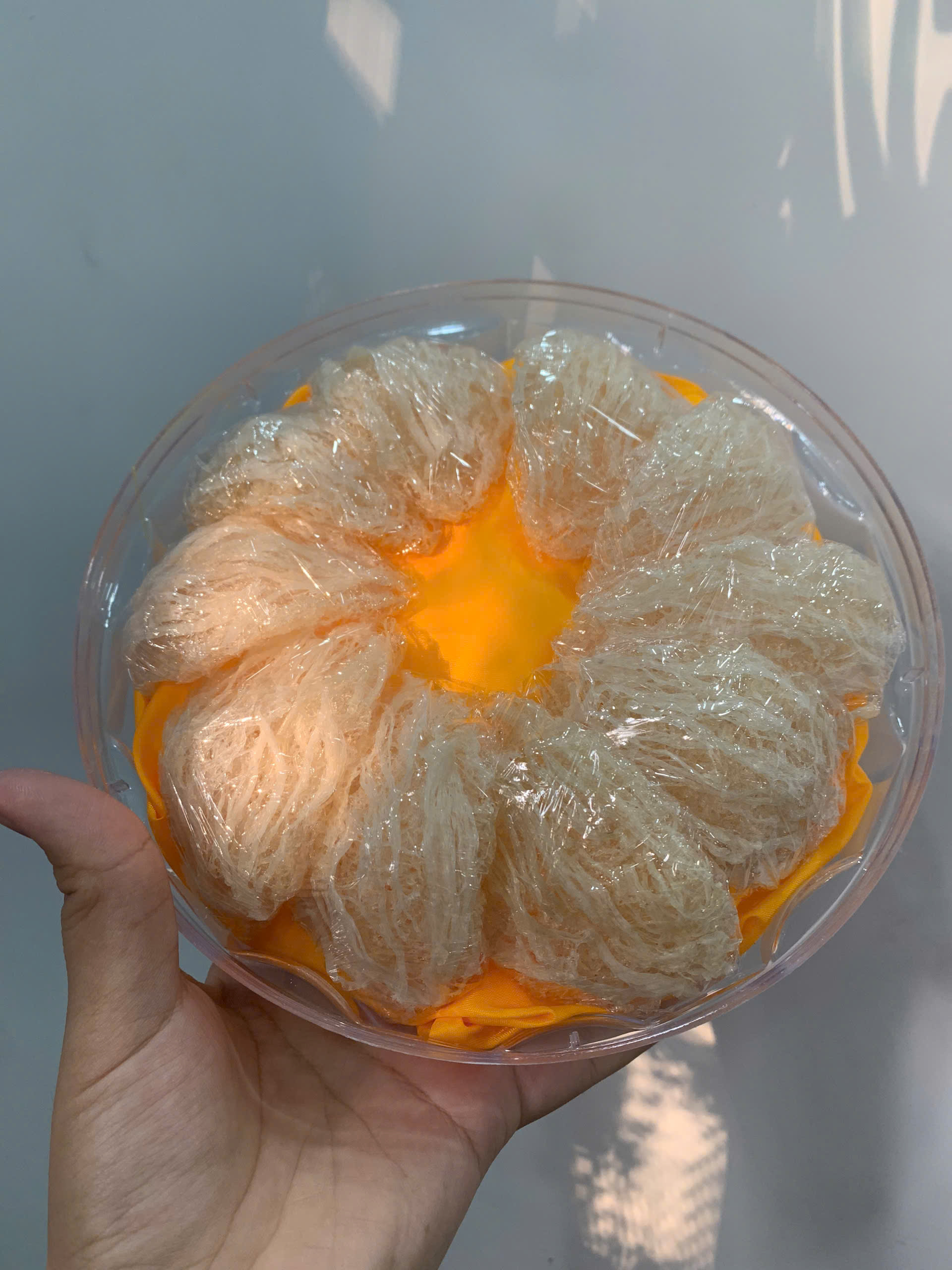 Yến sào tinh chế sợi ngắn 100g 2