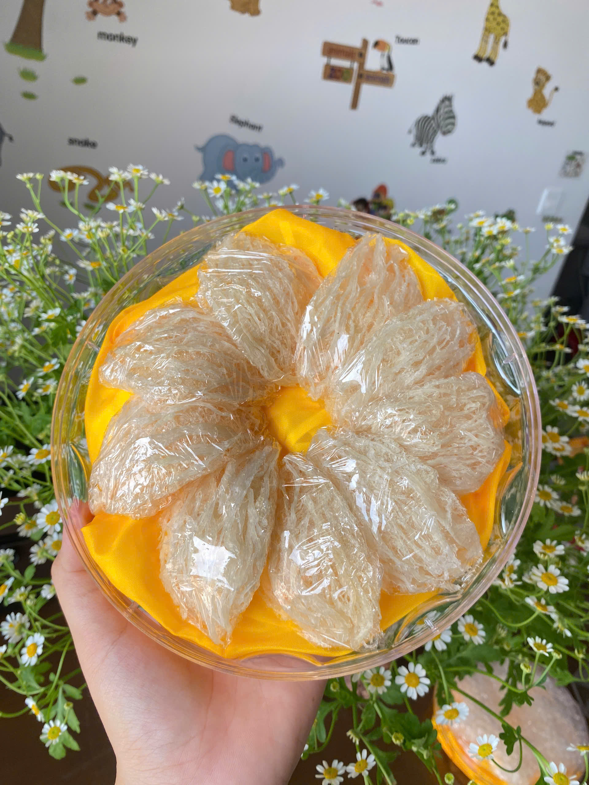 Yến sào tinh chế sợi ngắn 100g 5