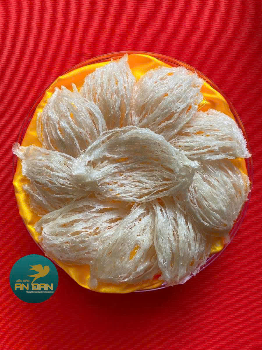 Yến sào tinh chế sợi Vip (100% sợi dài) 100g 3